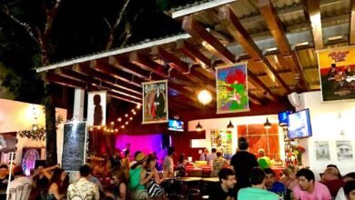 Descubre la Vibrante Vida Nocturna en la Quinta Avenida de Playa del Carmen