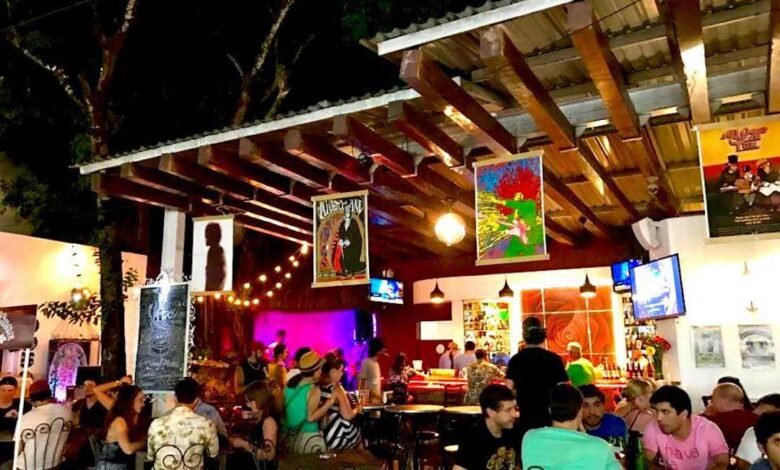 Descubre la Vibrante Vida Nocturna en la Quinta Avenida de Playa del Carmen