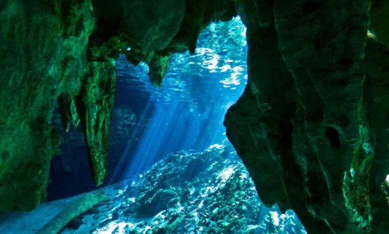 Cenote Tajma Ha - Info Quintana Roo