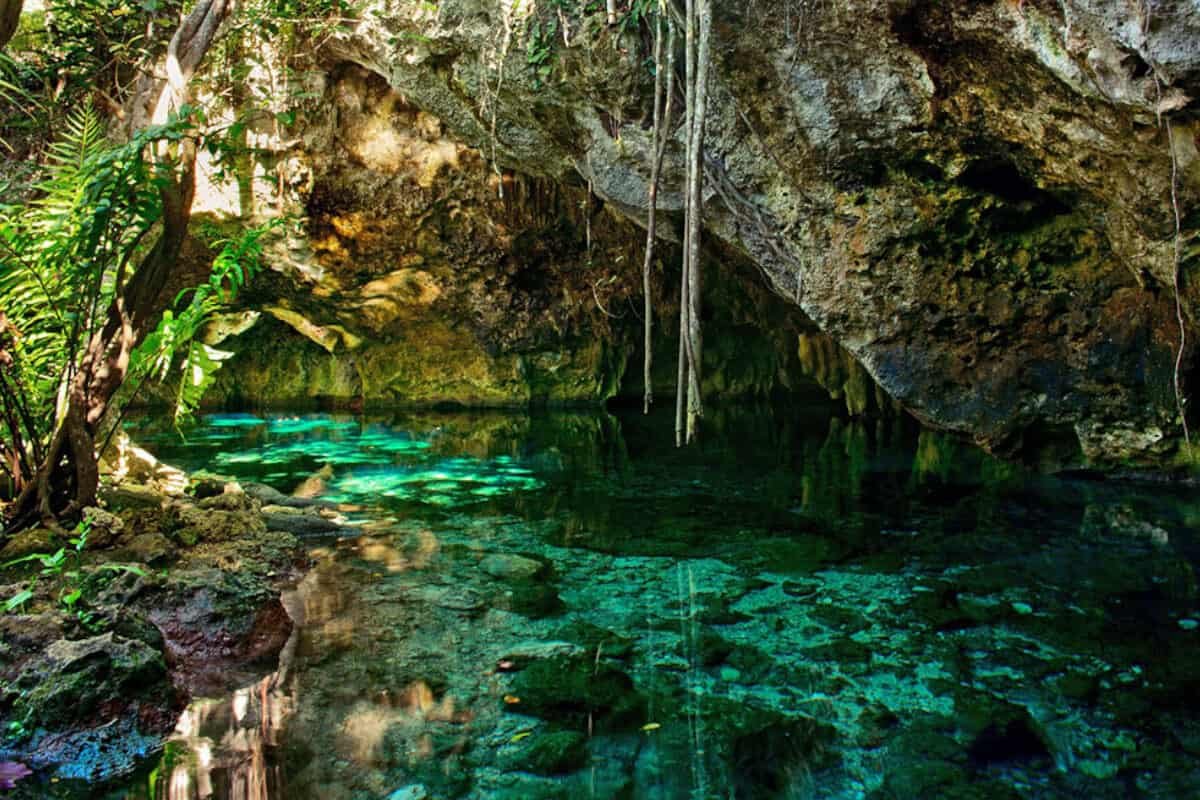 Tipos de cenotes ¿Los conoces todos?