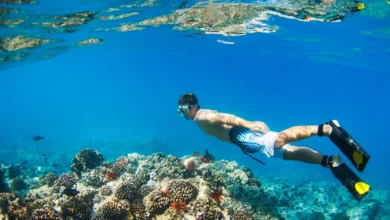 snorkel Punta Cana
