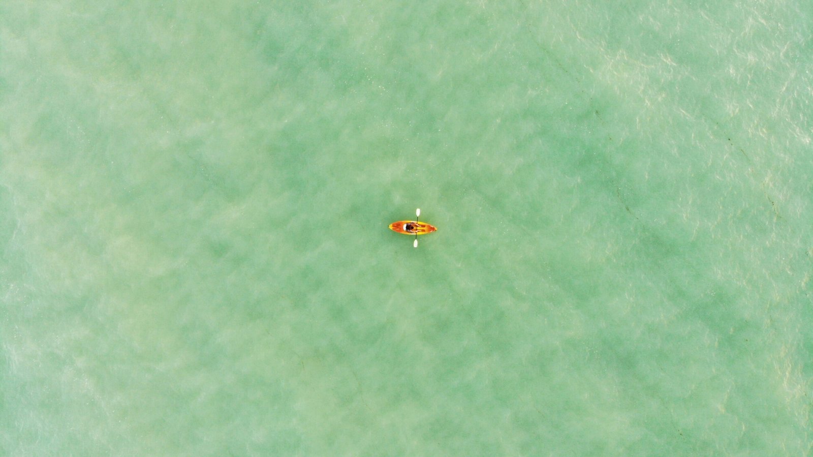 aerial view of boat on body of water