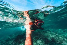 Snorkel Riviera Maya